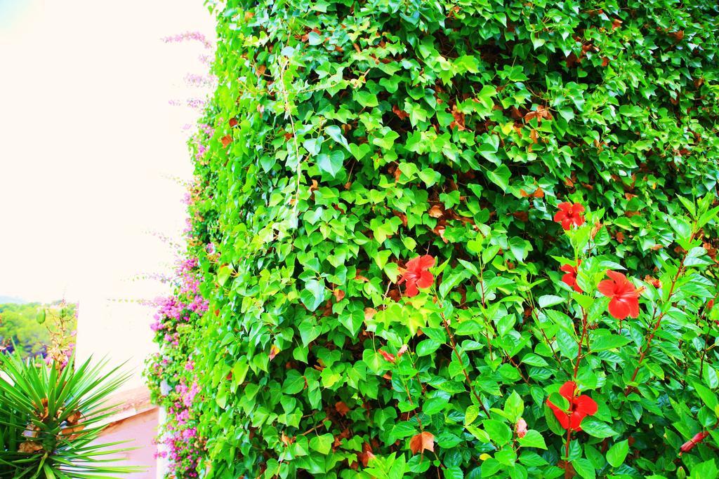 Villa Columbus Family Boutique Hotel ปาเกรา ภายนอก รูปภาพ
