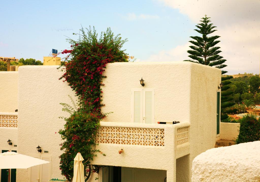 Villa Columbus Family Boutique Hotel ปาเกรา ภายนอก รูปภาพ